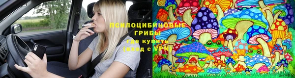 дурь Алексин